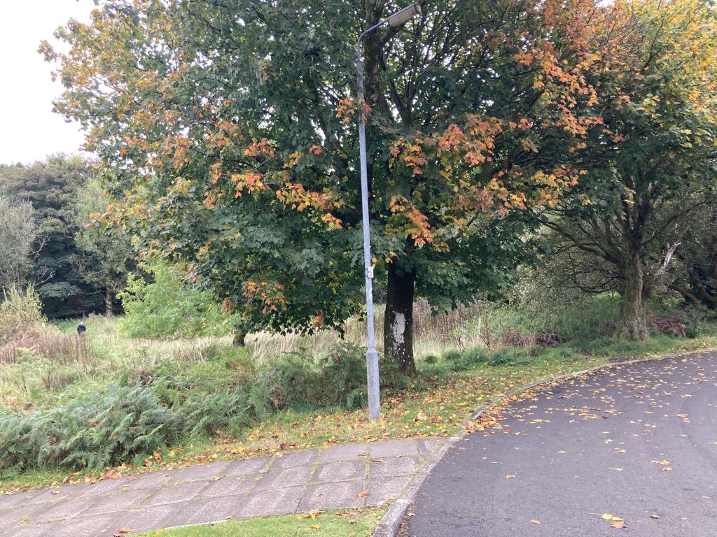 Lot: 29 - LAND WITH DEVELOPMENT POTENTIAL - View on to the land from Hillview Skelmorlie
